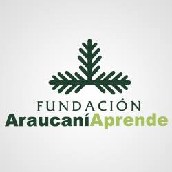 Fundación Araucaniaprende